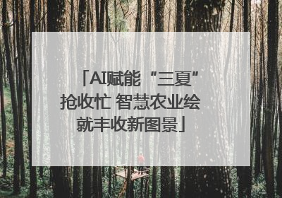 AI赋能“三夏”抢收忙 智慧农业绘就丰收新图景